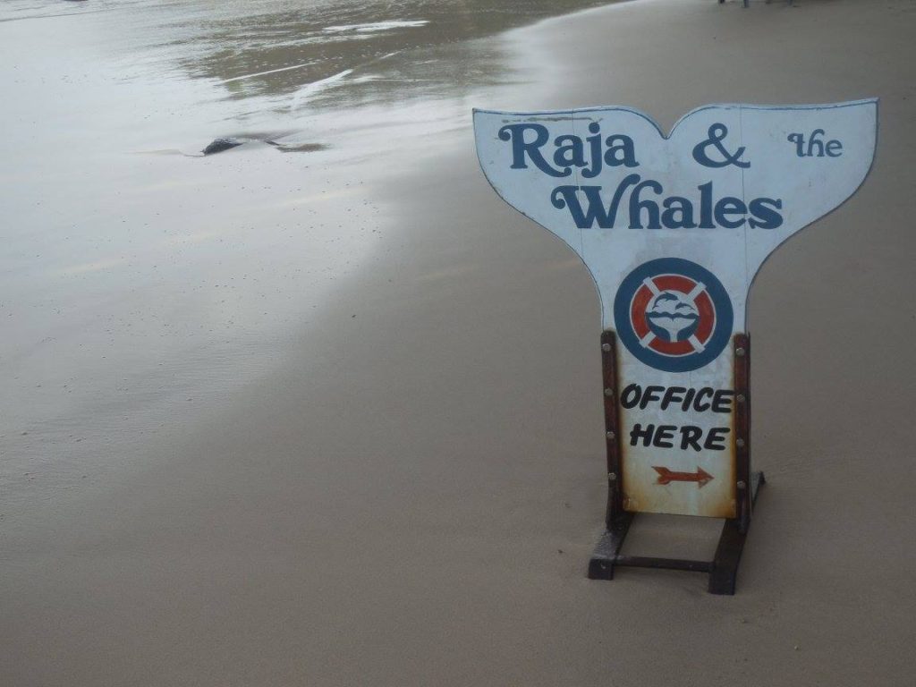 Raja and the Whales sign in Sri Lanka