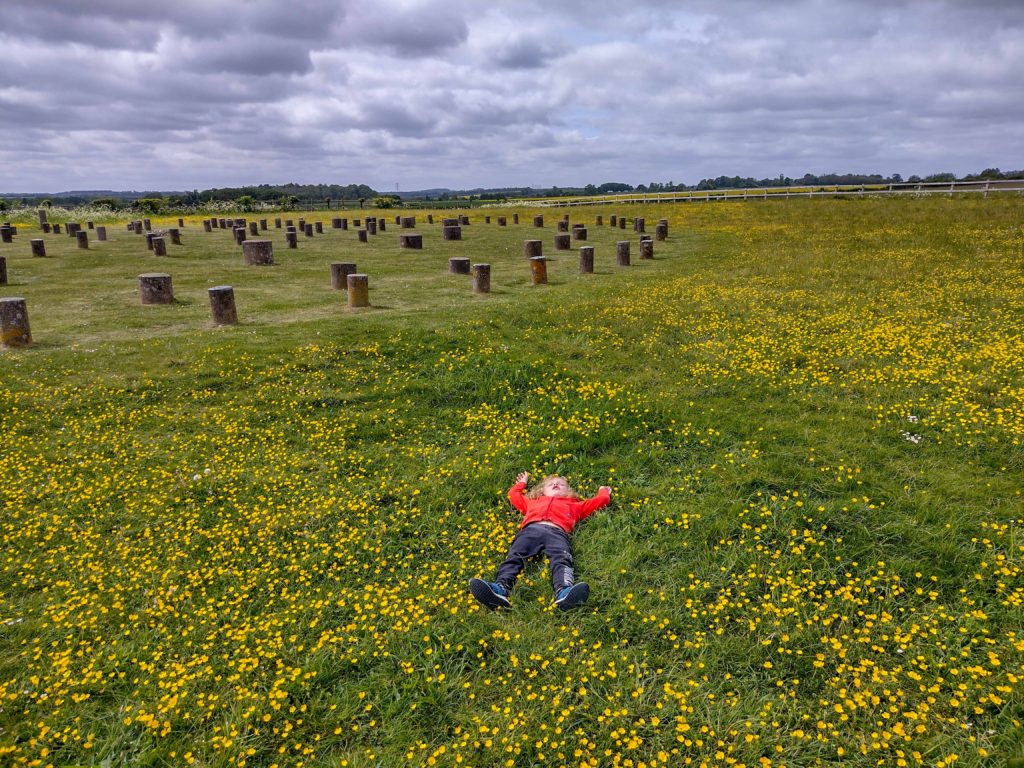 Child laying in flowers next to Woodhenge