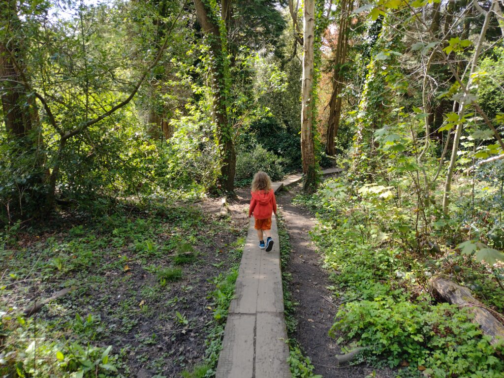 Child walking through Mosely Bog in Birmingham