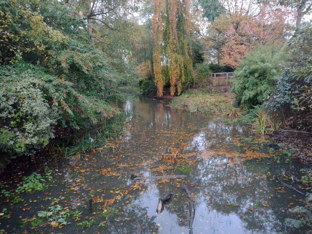 King's Heath Park Pond in Birmingham