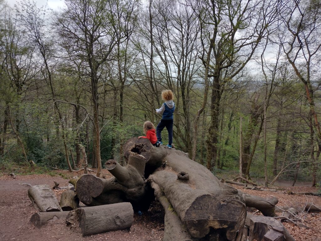 Two children stood on log looking at trees and view of Birmingham from Lickey Hills