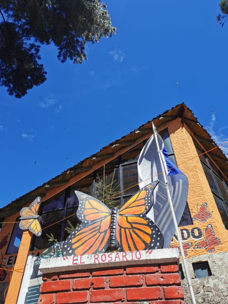 El Rosario Monarch Butterfly Reserve in Mexico