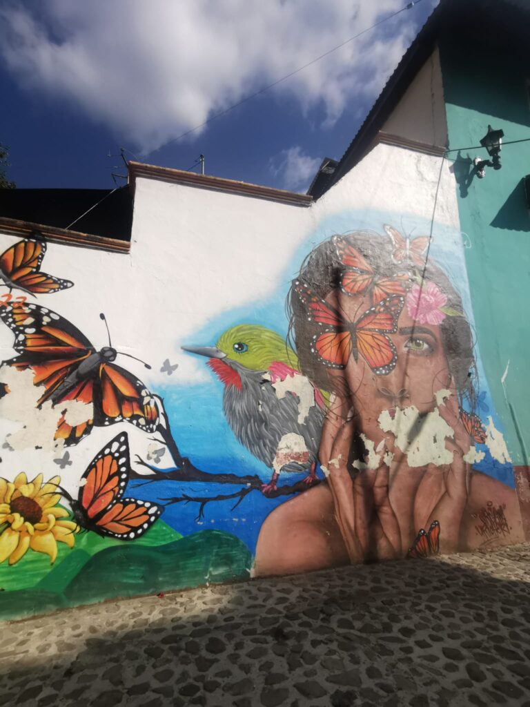 Street Art in Angangueo, Mexico